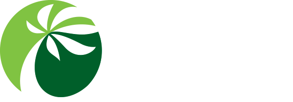Mundo do Palmito